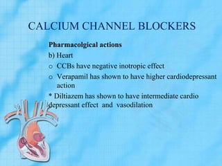 CALCIUM CHANNEL BLOCKERS
Pharmacolgical actions
b) Heart
o CCBs have negative inotropic effect
o Verapamil has shown to have higher cardiodepressant
action
* Diltiazem has shown to have intermediate cardio
depressant effect and vasodilation
 