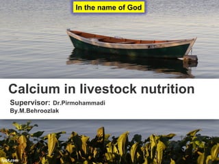 Calcium in livestock nutrition
Supervisor: Dr.Pirmohammadi
By.M.Behroozlak
In the name of God
 