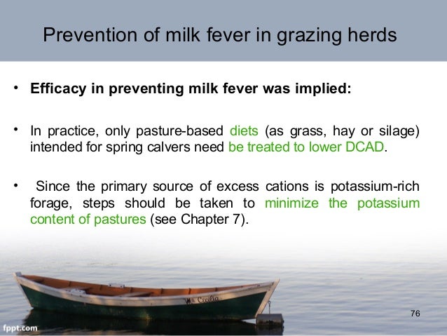 to reduce fever how goats in Ali in Mohammad nutrition Behroozlak Livestock Calcium to reduce fever how goats in Ali in Mohammad nutrition Behroozlak Livestock Calcium