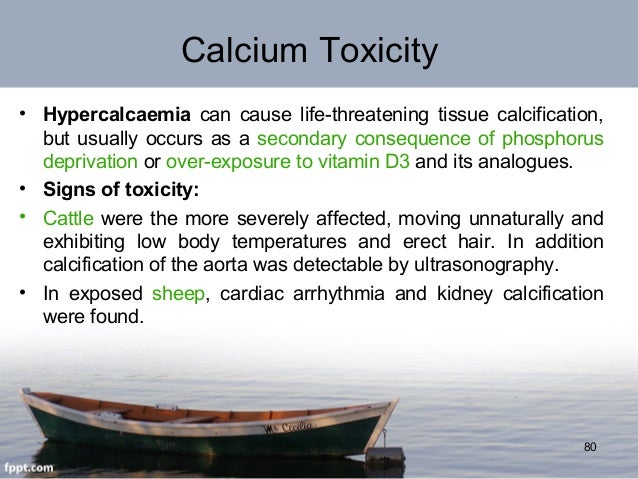 Can Calcium Be Toxic , Calcium Chloride in Food – NYJFA