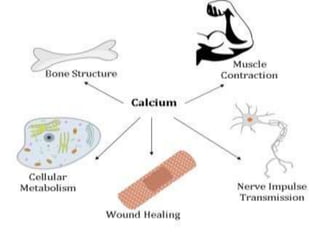 Calcium biochemical role, rda and deficiency | PPTX