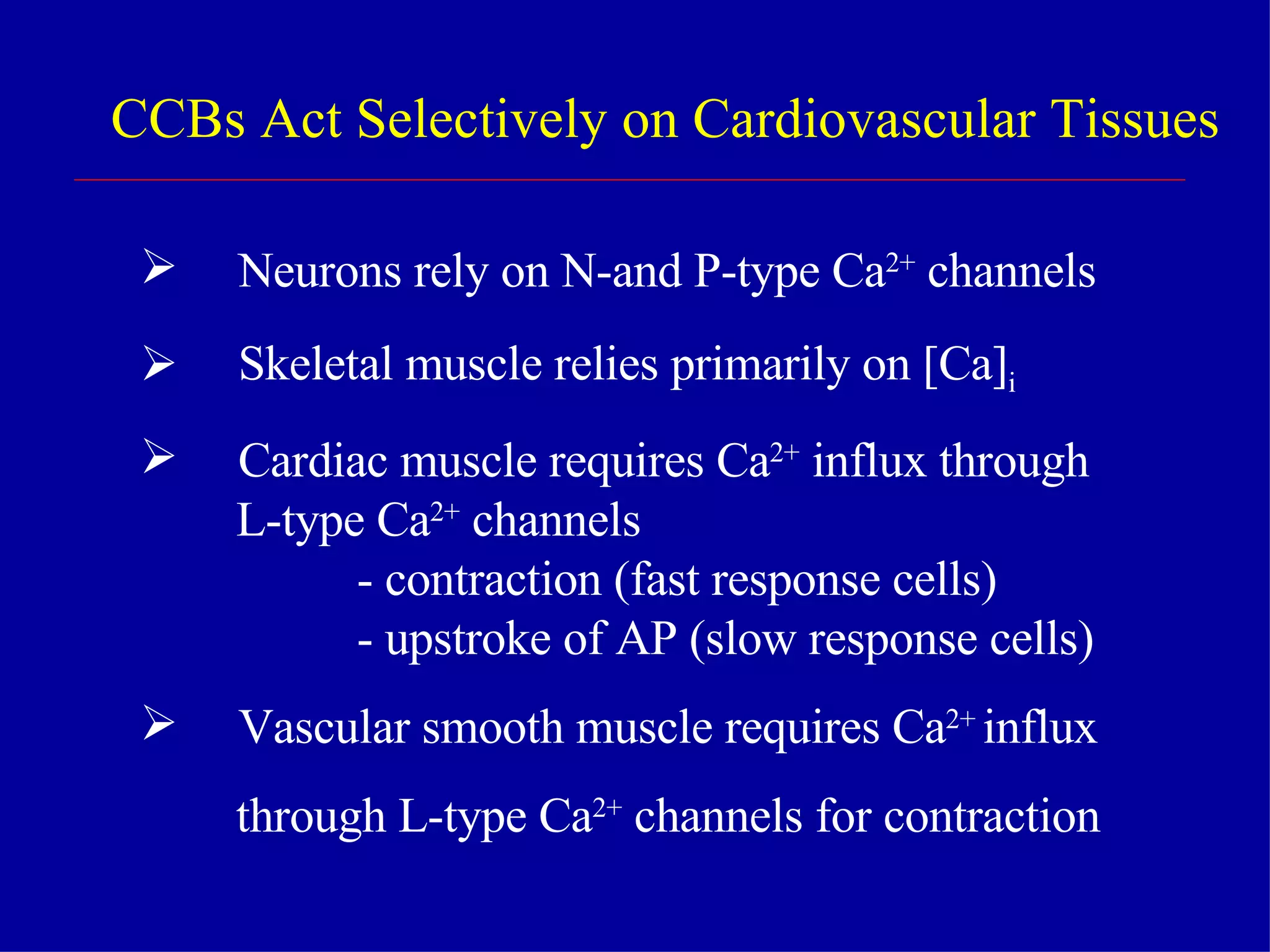 CCBs Act Selectively on Cardiovascular Tissues Neurons rely on N-and P-type Ca 2+  channels Skeletal muscle relies primarily on [Ca] i  Cardiac muscle requires Ca 2+  influx through L-type Ca 2+  channels - contraction (fast response cells) - upstroke of AP (slow response cells) Vascular smooth muscle requires Ca 2+  influx  through L-type Ca 2+  channels for contraction 