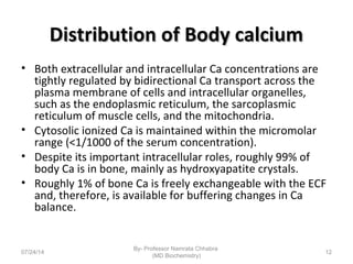 Distribution of Body calciumDistribution of Body calcium
• Both extracellular and intracellular Ca concentrations are
tightly regulated by bidirectional Ca transport across the
plasma membrane of cells and intracellular organelles,
such as the endoplasmic reticulum, the sarcoplasmic
reticulum of muscle cells, and the mitochondria.
• Cytosolic ionized Ca is maintained within the micromolar
range (<1/1000 of the serum concentration).
• Despite its important intracellular roles, roughly 99% of
body Ca is in bone, mainly as hydroxyapatite crystals.
• Roughly 1% of bone Ca is freely exchangeable with the ECF
and, therefore, is available for buffering changes in Ca
balance.
07/24/14
By- Professor Namrata Chhabra
(MD Biochemistry)
12
 