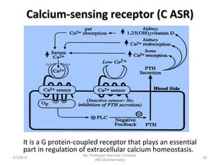 Calcium-sensing receptor (C ASR)Calcium-sensing receptor (C ASR)
It is a G protein-coupled receptor that plays an essential
part in regulation of extracellular calcium homeostasis.
07/24/14
By- Professor Namrata Chhabra
(MD Biochemistry)
32
 