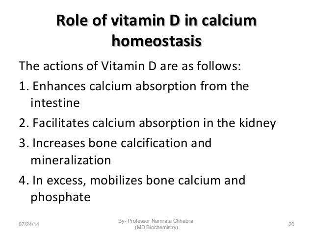 Calcium Functions And Significance