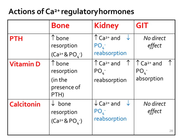 CALCIUM AND PHOSPHATE METABOLISM.pptx - Kidney Disease Guinea Pigs Impaired Calcium And Phosphorus Metabolism