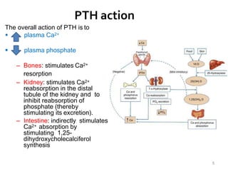 CALCIUM AND PHOSPHATE METABOLISM.pptx