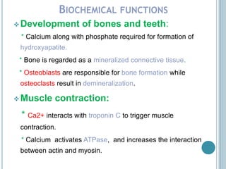 BIOCHEMICAL FUNCTIONS
Development of bones and teeth:
* Calcium along with phosphate required for formation of
hydroxyapatite.
* Bone is regarded as a mineralized connective tissue.
* Osteoblasts are responsible for bone formation while
osteoclasts result in demineralization.
Muscle contraction:
* Ca2+ interacts with troponin C to trigger muscle
contraction.
* Calcium activates ATPase, and increases the interaction
between actin and myosin.
 