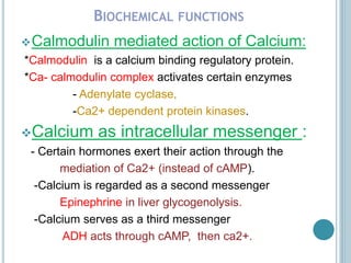 BIOCHEMICAL FUNCTIONS
Calmodulin mediated action of Calcium:
*Calmodulin is a calcium binding regulatory protein.
*Ca- calmodulin complex activates certain enzymes
- Adenylate cyclase,
-Ca2+ dependent protein kinases.
Calcium as intracellular messenger :
- Certain hormones exert their action through the
mediation of Ca2+ (instead of cAMP).
-Calcium is regarded as a second messenger
Epinephrine in liver glycogenolysis.
-Calcium serves as a third messenger
ADH acts through cAMP, then ca2+.
 