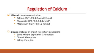 Calcium and Vitamin D Metabolism Slide.pptx
