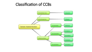 Classification of CCBs
 