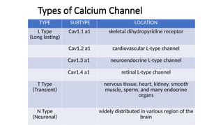 Types of Calcium Channel
TYPE SUBTYPE LOCATION
L Type
(Long lasting)
Cav1.1 a1 skeletal dihydropyridine receptor
Cav1.2 a1 cardiovascular L-type channel
Cav1.3 a1 neuroendocrine L-type channel
Cav1.4 a1 retinal L-type channel
T Type
(Transient)
nervous tissue, heart, kidney, smooth
muscle, sperm, and many endocrine
organs
N Type
(Neuronal)
widely distributed in various region of the
brain
 