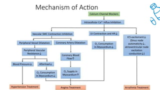 Mechanism of Action
 