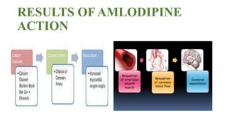 RESULTS OF AMLODIPINE
ACTION
 
