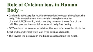 Role of Calcium ions in Human
Body -
• Calcium is necessary for muscle contractions to occur throughout the
body. This mineral enters muscle cells through various ion
channels(L,N,T,P and R), which are tiny pores on the surface of the
cell. This process is essential for normal body functioning.
• CCB’s reduce the amount of calcium that can enter muscle cells in the
heart and blood vessel walls via L-type calcium-channels.
• This lowers the pressure in the blood vessels and on the heart.
 