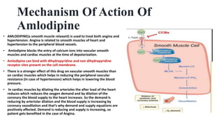 Calcium channel blocker amlodipine. PPT