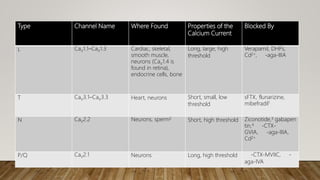 Type Channel Name Where Found Properties of the
Calcium Current
Blocked By
L CaV1.1–CaV1.3 Cardiac, skeletal,
smooth muscle,
neurons (CaV1.4 is
found in retina),
endocrine cells, bone
Long, large, high
threshold
Verapamil, DHPs,
Cd2+, -aga-IIIA
T CaV3.1–CaV3.3 Heart, neurons Short, small, low
threshold
sFTX, flunarizine,
mibefradil1
N CaV2.2 Neurons, sperm2
Short, high threshold Ziconotide,3 gabapen
tin,4 -CTX-
GVIA, -aga-IIIA,
Cd2+
P/Q CaV2.1 Neurons Long, high threshold -CTX-MVIIC, -
aga-IVA
 