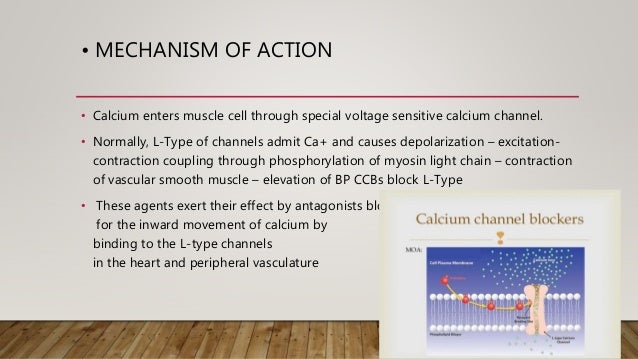 calcium channel blockers calcium channel blockers mechanism of action
