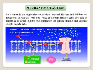 MECHANISM OF ACTION
Amlodipine is an angioselective calcium channel blocker and inhibits the
movement of calcium ions into vascular smooth muscle cells and cardiac
muscle cells which inhibits the contraction of cardiac muscle and vascular
smooth muscle cells.
 