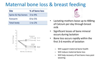 Maternal bone loss & breast feeding
• Lactating mothers loose up to 400mg
of Calcium per day through breast
milk
• Signifi...