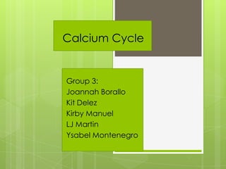 Calcium Cycle


Group 3:
Joannah Borallo
Kit Delez
Kirby Manuel
LJ Martin
Ysabel Montenegro
 