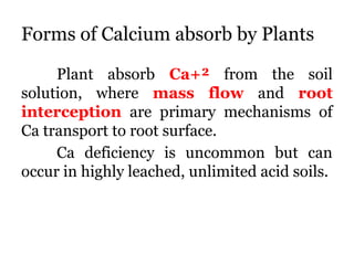 The Calcium cycle use for reporting on elements | PPTX