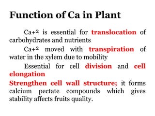 The Calcium cycle use for reporting on elements | PPTX