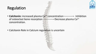Regulation
• Calcitonin: increased plasma Ca2+ concentration Inhibition
of osteoclast bone resorption Decrease plasma Ca2+
concentration.
• Calcitonin Role in Calcium regulation is uncertain
 