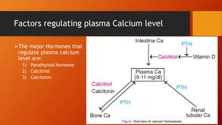 Factors regulating plasma Calcium level
The major Hormones that
regulate plasma calcium
level are:
1) Parathyroid hormone
2) Calcitriol
3) Calcitonin
Figure: Overview of calcium homeostasis
 