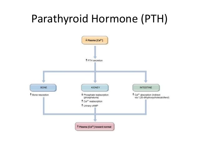 control chart g homeostasis Calcium control chart g homeostasis Calcium