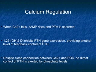 Calcium Regulation
• When Ca2+ falls, cAMP rises and PTH is secreted.
• 1,25-(OH)2-D inhibits PTH gene expression, providing another
level of feedback control of PTH.
• Despite close connection between Ca2+ and PO4, no direct
control of PTH is exerted by phosphate levels.
 