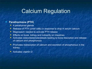 Calcium Regulation
 Parathormone (PTH)
 4 parathyroid glands
 Release of PTH (chief cells) in response to drop in serum calcium
 Magnesium needed to activate PTH release
 Effects on bone, kidney and indirectly on intestines
 Activates osteoclasts/osteoblasts leading to bone resorption and release
of calcium and phosphorous
 Promotes reabsorption of calcium and excretion of phosphorous in the
kidney
 Activates vitamin D
 