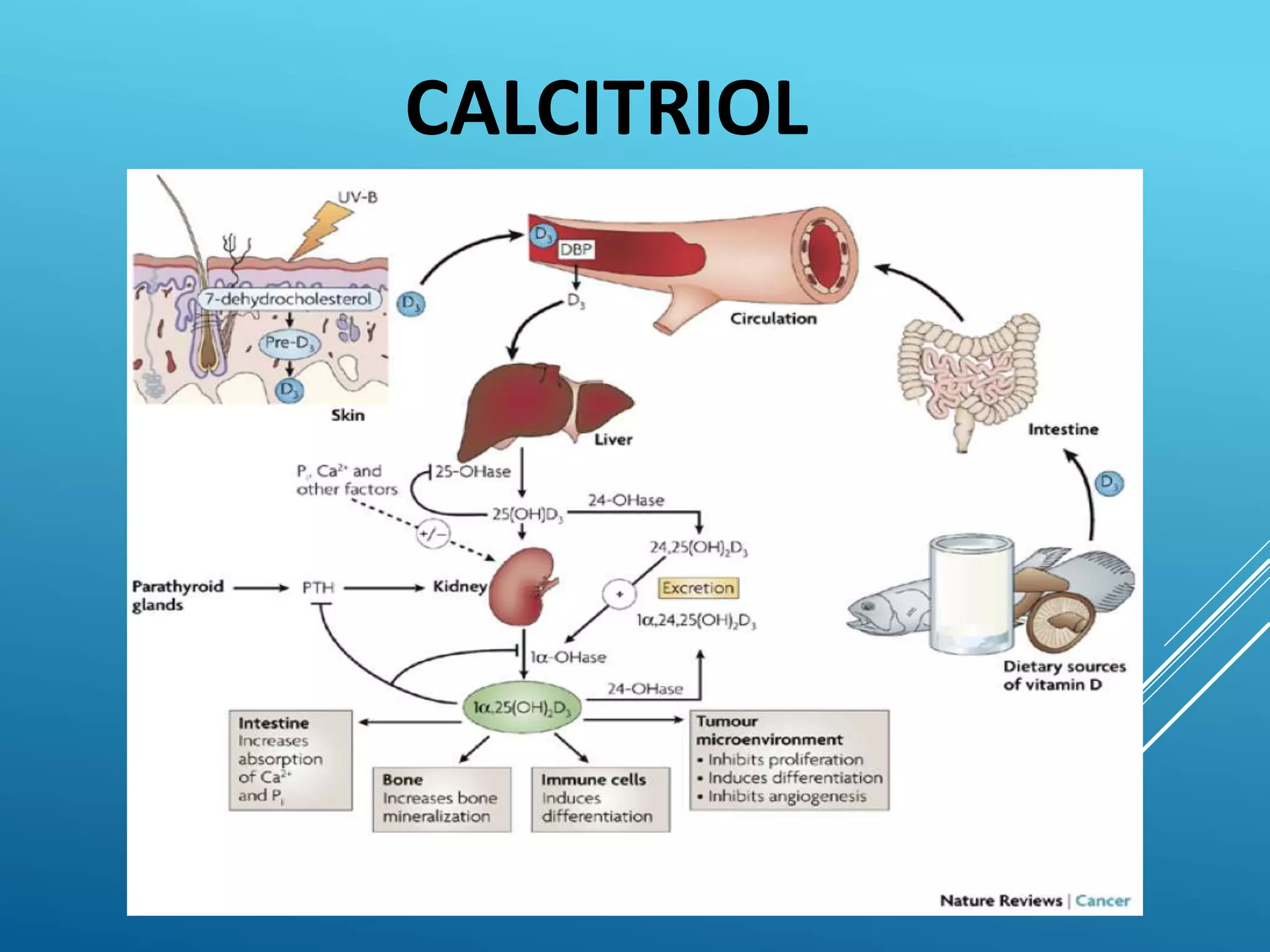 CALCITRIOL
 