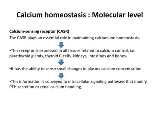 Calcium homeostasis : Molecular level
Calcium-sensing receptor (CASR)
The CASR plays an essential role in maintaining calcium ion homeostasis.
•This receptor is expressed in all tissues related to calcium control, i.e.
parathyroid glands, thyroid C-cells, kidneys, intestines and bones.
•It has the ability to sense small changes in plasma calcium concentration.
•This information is conveyed to intracellular signaling pathways that modify
PTH secretion or renal calcium handling.
 