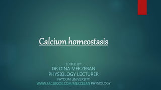 Calcium homeostasis
EDITED BY
DR DINA MERZEBAN
PHYSIOLOGY LECTURER
FAYOUM UNIVERSITY
WWW.FACEBOOK.COM/MERZEBAN PHYSIOLOGY
 