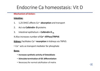 calciumhomeostasis-200517174534.pptx