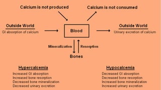 Calcium homeostasis