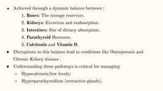Comprehensive Overview of Calcium Homeostasis and Its Physiological ...