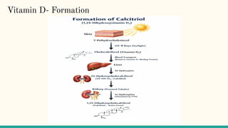 Comprehensive Overview of Calcium Homeostasis and Its Physiological ...