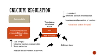 Calcium homeostasis and its disorder.pdf