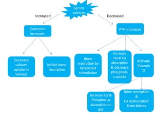 Serum
calcium
Decreased
PTH increases
Inhibit bone
resorption
Calcitonin
increases
Increase
renal Ca
absorption
& decrease
phosphoru
s uptake
Bone
resorption by
osteoclast
stimulation
Activate
Vitamin
D
Increase Ca &
Phosphorus
absorption in
gut
Decrease
calcium
uptake in
kidneys
Increased
Bone resorption
&
Ca reabsorption
from kidney
 