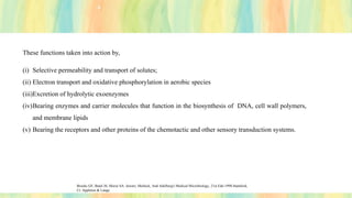 These functions taken into action by,
(i) Selective permeability and transport of solutes;
(ii) Electron transport and oxidative phosphorylation in aerobic species
(iii)Excretion of hydrolytic exoenzymes
(iv)Bearing enzymes and carrier molecules that function in the biosynthesis of DNA, cell wall polymers,
and membrane lipids
(v) Bearing the receptors and other proteins of the chemotactic and other sensory transduction systems.
Brooks GF, Butel JS, Morse SA. Jawetz, Melnick, And Adelberg's Medical Microbiology, 21st Edn 1998.Stamford,
Ct: Appleton & Lange.
 