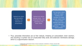 • Thus, peroxides themselves act as free radicals, initiating an autocatalytic chain reaction,
and resulting in further loss of unsaturated fatty acids and extensive membrane damage,
which is a saponification reaction.
Hydroxyl ions induce
lipid peroxidation,
resulting in the
destruction of
phospholipids,
Hydroxyl ions remove
hydrogen atoms from
unsaturated fatty acids,
generating a free
lipidic radical.
This free lipidic radical
reacts with oxygen,
resulting in the
formation of a lipidic
peroxide radical, which
removes another
hydrogen atom from a
second fatty acid,
generating another
lipidic peroxide.
Z Mohammadi, Antimicrobial Activity of Calcium Hydroxide in Endodontics: A Review; Chonnam Med
J 2012;48:133-140
 