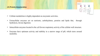 (2) Protein denaturation
• Cellular metabolism is highly dependent on enzymatic activities.
• Extracellular enzymes act on nutrients, carbohydrates, proteins and lipids that, through
hydrolysis, favour digestion.
• Intracellular enzymes located in the cell favour respiratory activity of the cellular wall structure.
• Enzymes have optimum activity and stability in a narrow range of pH, which turns around
neutrality.
 
