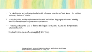 • The alkalinization provided by calcium hydroxide induces the breakdown of ionic bonds that maintain
the tertiary structure of proteins.
• As a consequence, the enzyme maintains its covalent structure but the polypeptide chain is randomly
unravelled in variable and irregular spatial conformation.
• These changes frequently result in the loss of biological activity of the enzyme and disruption of the
cellular metabolism.
• Structural proteins may also be damaged by hydroxyl ions.
Siqueira Jr JF, Lopes HP. Mechanisms of antimicrobial activity of calcium hydroxide: a critical review (
Review). International Endodontic Journal, 32, 361±369, 1999
 