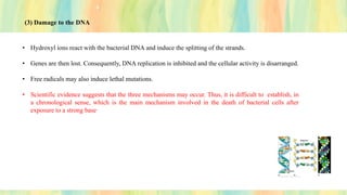 (3) Damage to the DNA
• Hydroxyl ions react with the bacterial DNA and induce the splitting of the strands.
• Genes are then lost. Consequently, DNA replication is inhibited and the cellular activity is disarranged.
• Free radicals may also induce lethal mutations.
• Scientific evidence suggests that the three mechanisms may occur. Thus, it is difficult to establish, in
a chronological sense, which is the main mechanism involved in the death of bacterial cells after
exposure to a strong base.
 