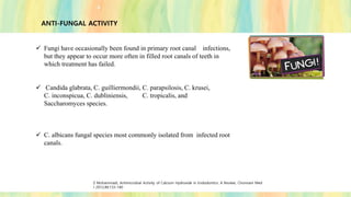 ANTI-FUNGAL ACTIVITY
✓ Fungi have occasionally been found in primary root canal infections,
but they appear to occur more often in filled root canals of teeth in
which treatment has failed.
✓ Candida glabrata, C. guilliermondii, C. parapsilosis, C. krusei,
C. inconspicua, C. dubliniensis, C. tropicalis, and
Saccharomyces species.
✓ C. albicans fungal species most commonly isolated from infected root
canals.
Z Mohammadi, Antimicrobial Activity of Calcium Hydroxide in Endodontics: A Review; Chonnam Med
J 2012;48:133-140
 