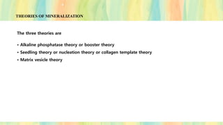 THEORIES OF MINERALIZATION
The three theories are
• Alkaline phosphatase theory or booster theory
• Seedling theory or nucleation theory or collagen template theory
• Matrix vesicle theory
 