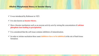 Alkaline Phosphatase theory or booster theory
✓ It was introduced by Robinson in 1923.
✓ It is also known as booster theory.
✓ Here a booster mechanism such as an enzyme activity acts by raising the concentration of calcium
phosphate ions leading to precipitation.
✓ It is considered that the soft tissue contains inhibitors of mineralization.
✓ In order to initiate nucleation these same inhibitors have to be inhibited at the site of hard tissue
formation.
 
