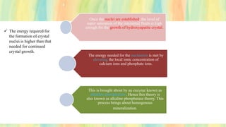 Once the nuclei are established, the level of
super saturation of the interstitial fluids is high
enough for the growth of hydroxyapatite crystal.
The energy needed for the nucleation is met by
elevating the local ionic concentration of
calcium ions and phosphate ions.
This is brought about by an enzyme known as
alkaline phosphatase. Hence this theory is
also known as alkaline phosphatase theory. This
process brings about homogenous
mineralization.
✓ The energy required for
the formation of crystal
nuclei is higher than that
needed for continued
crystal growth.
 